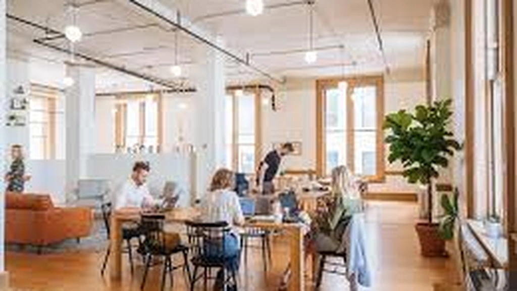 Tacoma Downtown - The Pioneer Collective - Thumbnail 4