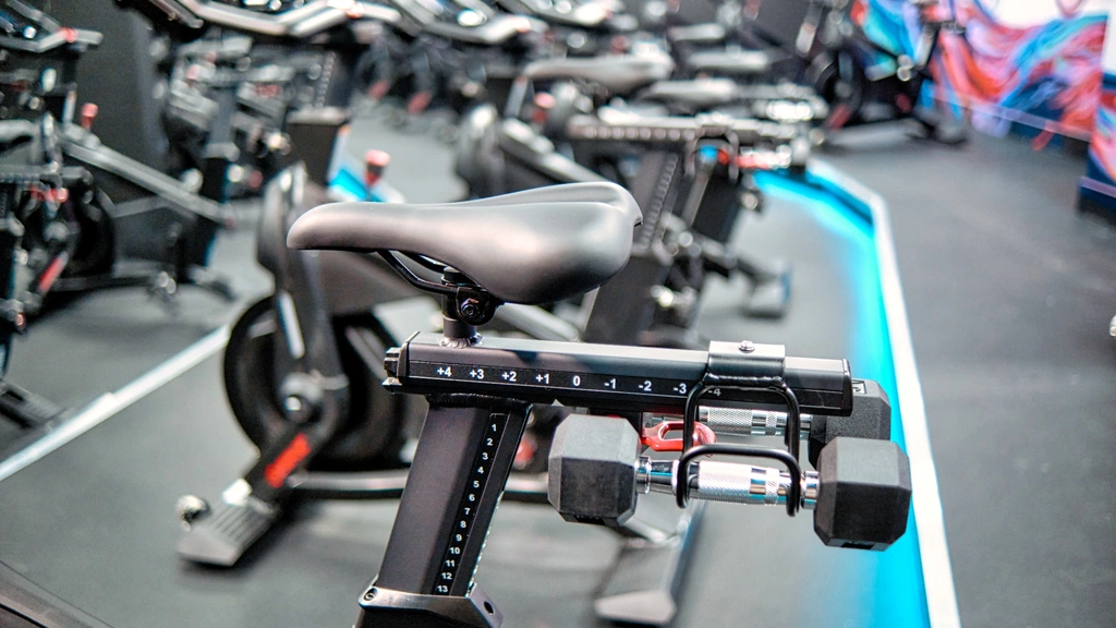 Photo for The Ride by Hollywood