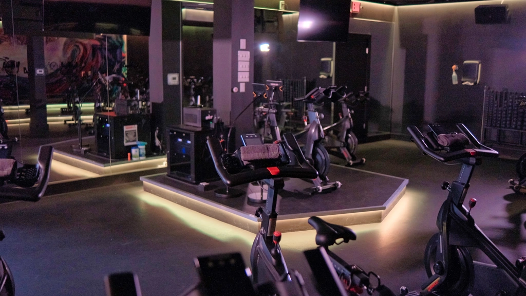 Photo for The Ride by Hollywood